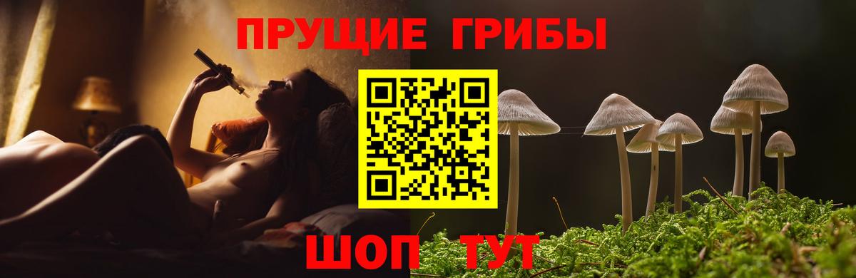 Галлюциногенные грибы Magic Shrooms Ревда